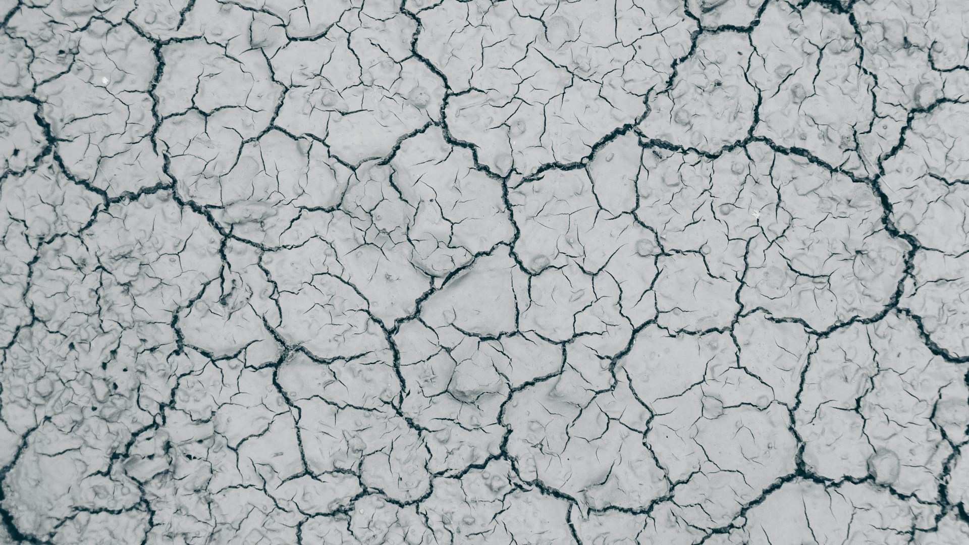 https://sales.horasis.org/wp-content/uploads/2024/01/rishabh-mathew-wB5__7GaZgk-unsplash.jpg