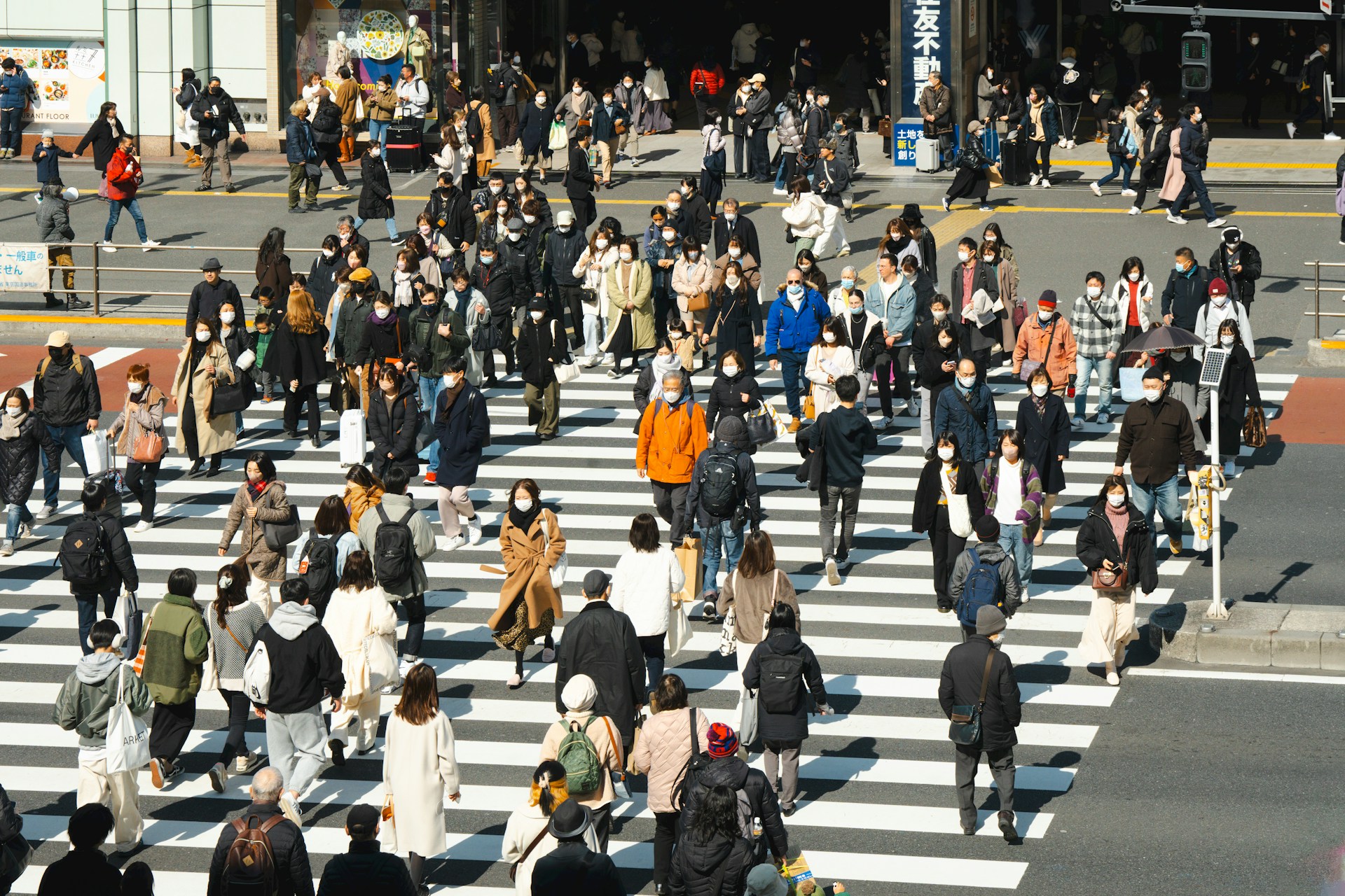 https://sales.horasis.org/wp-content/uploads/2024/11/taro-ohtani-R74mjPUcWZY-unsplash.jpg