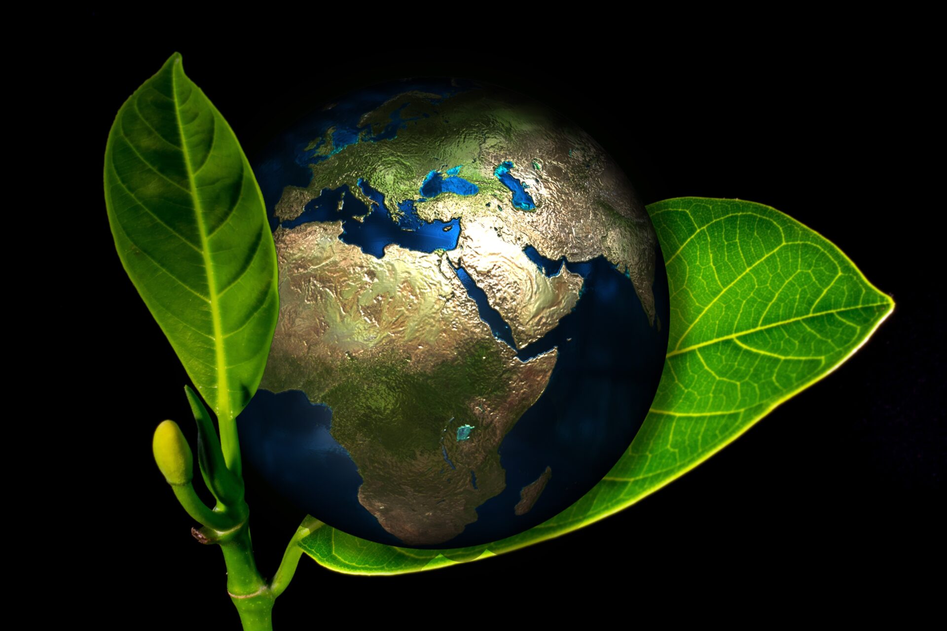 https://sales.horasis.org/wp-content/uploads/earth-405096.jpg